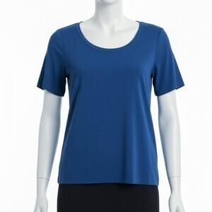 Exclusively Misook VTG Lux Knit Pullover Short Sleeve Knit Top Size Large